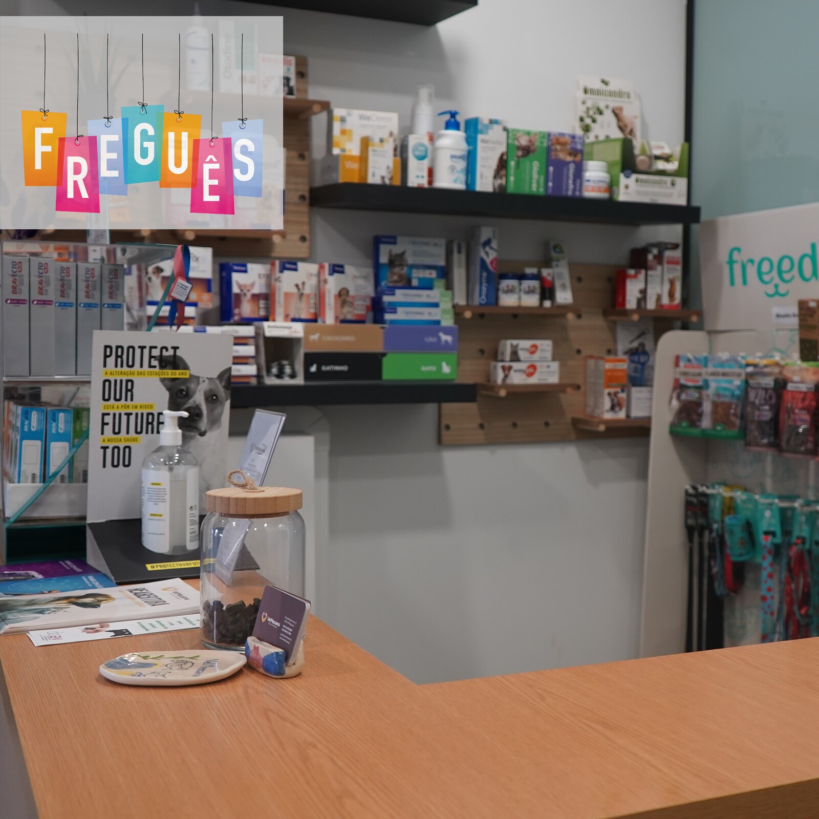 Rede Freguês | VetMassamá