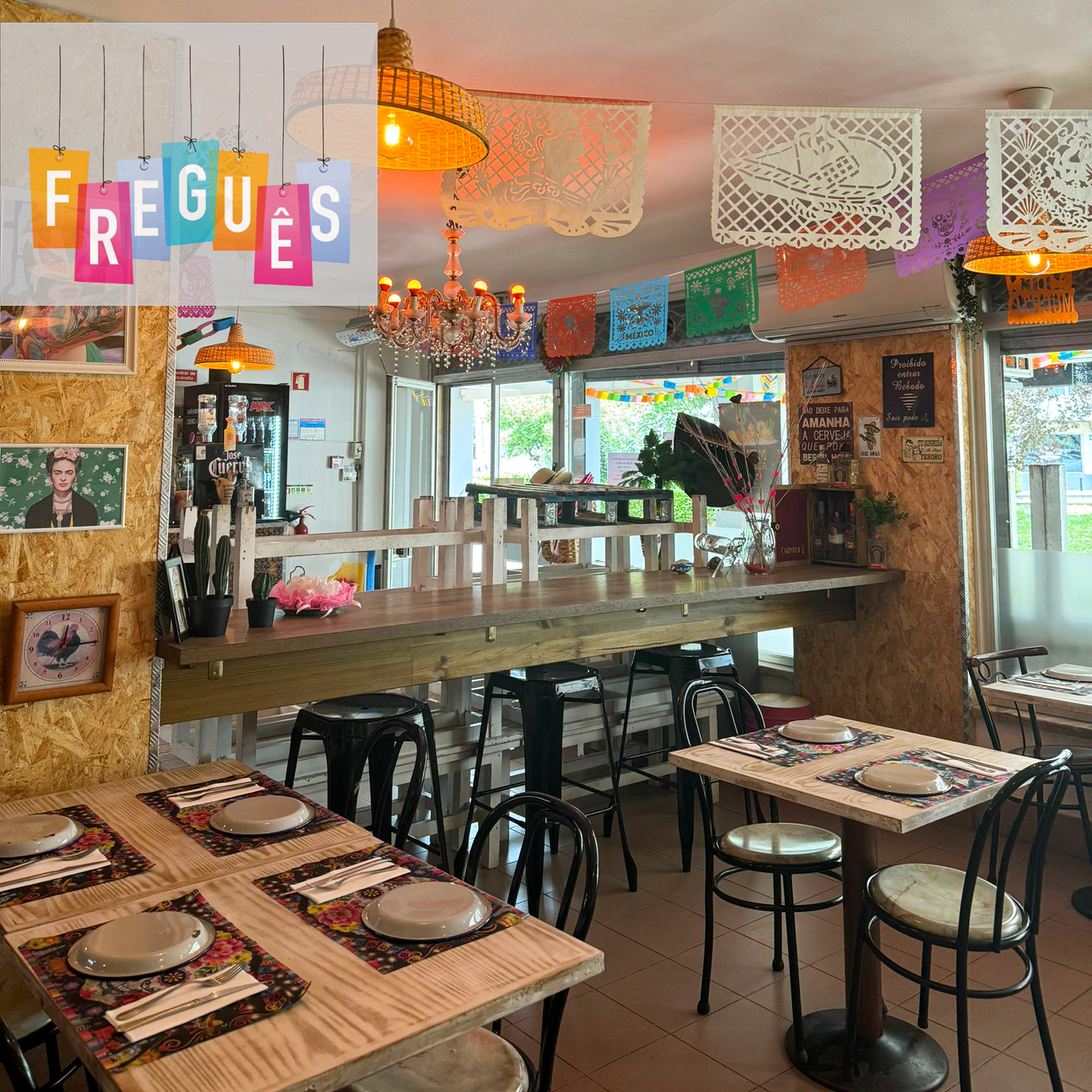 Rede Freguês | Gringo