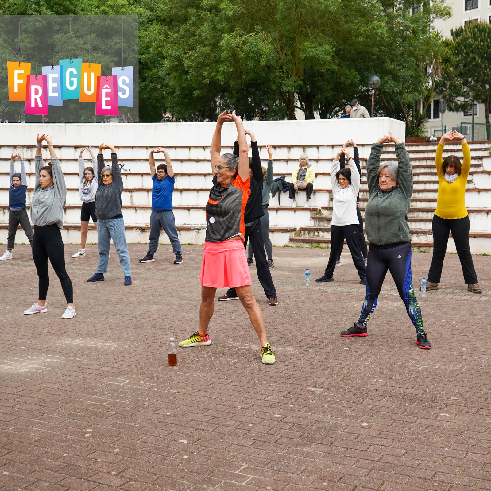 Rede Freguês |  Centro Shotokai