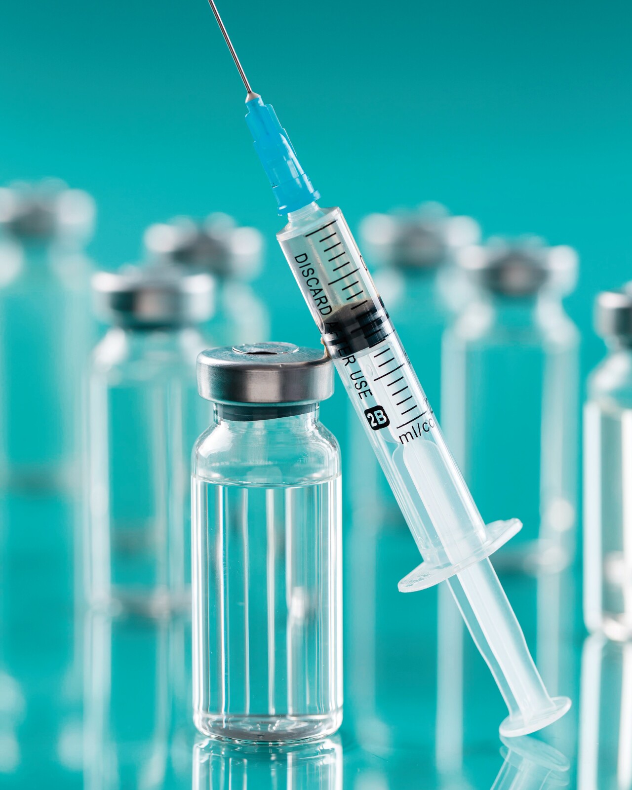 Campanha de Vacinação Antirrábica 2025 inicia a 6 de Maio