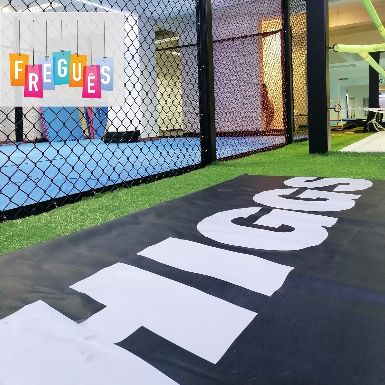 Rede Freguês | Artes Marciais? Só no Higgs Academy Fight Team